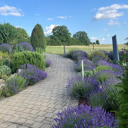 Am Goldberg * Quirnheim