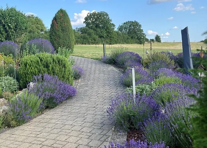 Am Goldberg * Quirnheim